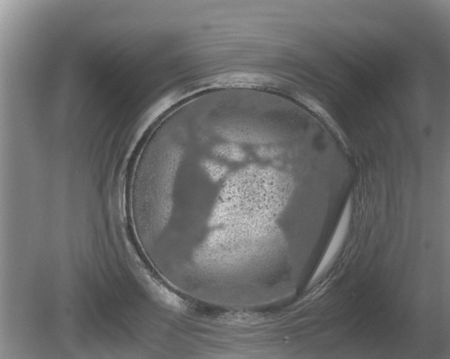 X0000080731083200612221247