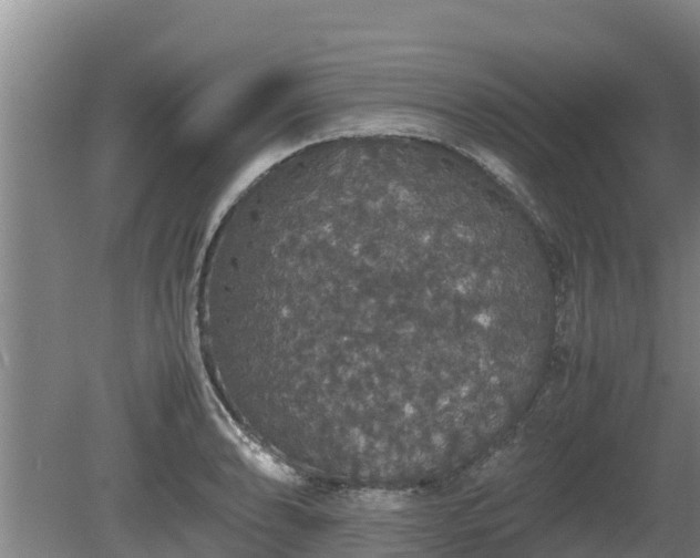 X0000080731086200612221247