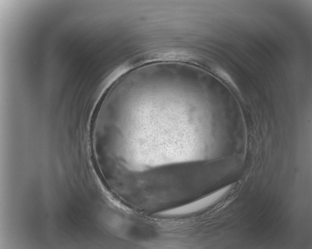 X0000080731087200612221247