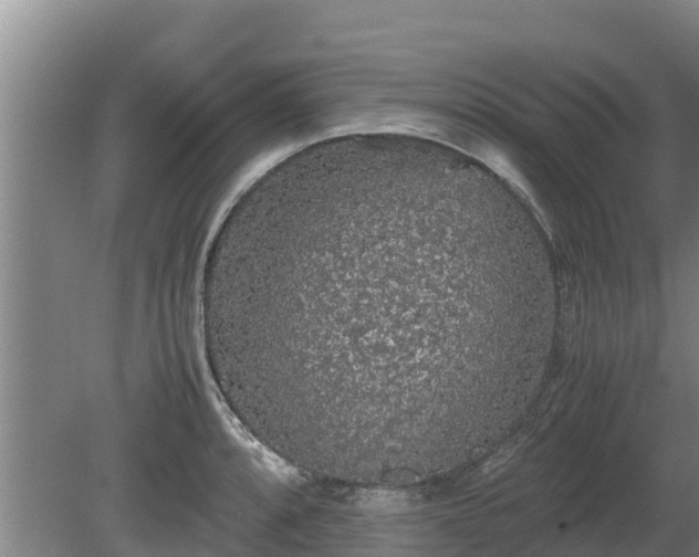 X0000080731088200612221247