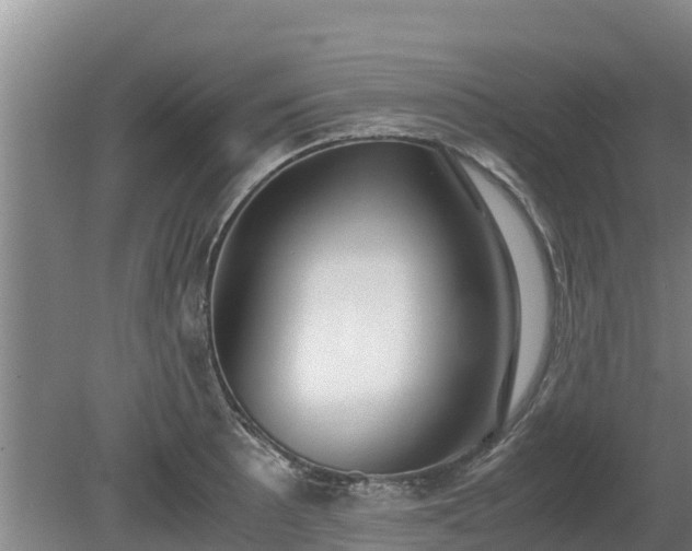 X0000080731089200612221246