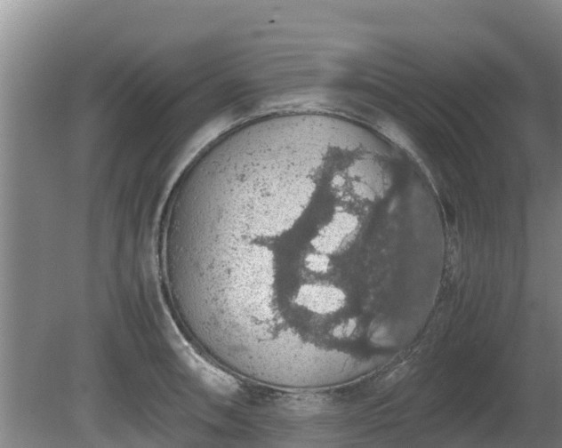 X0000080731090200612221246