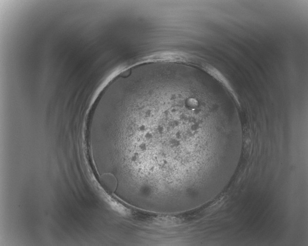 X0000080731091200612221246