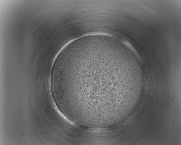 X0000080731092200612221246