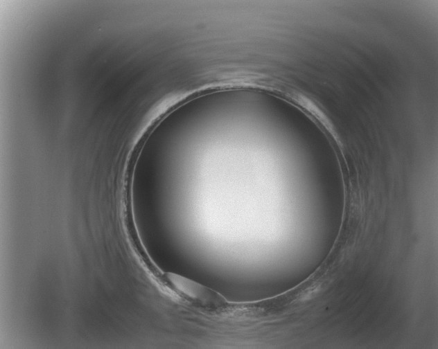 X0000080731093200612221246