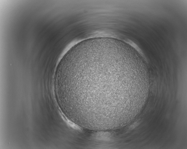 X0000080731094200612221246