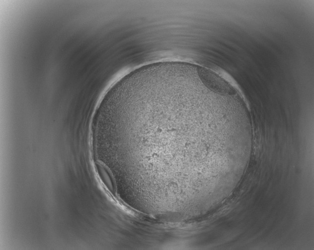 X0000080731096200612221246