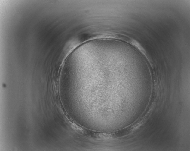 X0000080731097200612221246