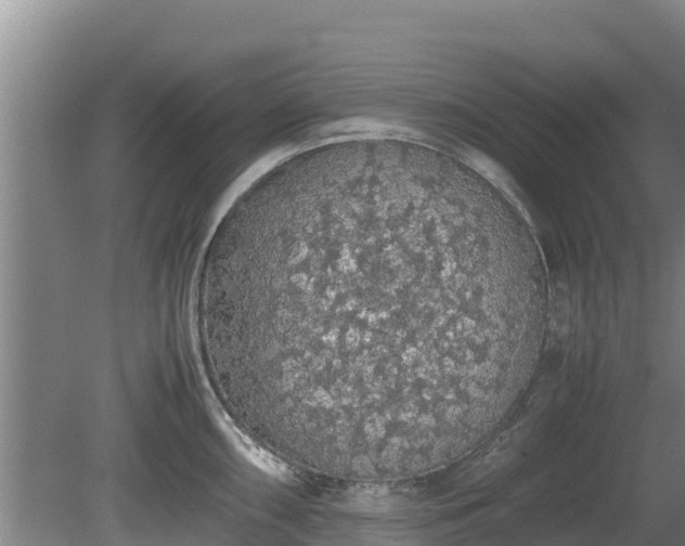 X0000080731098200612221246