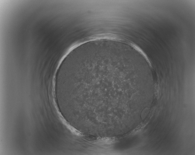 X0000080731099200612221246