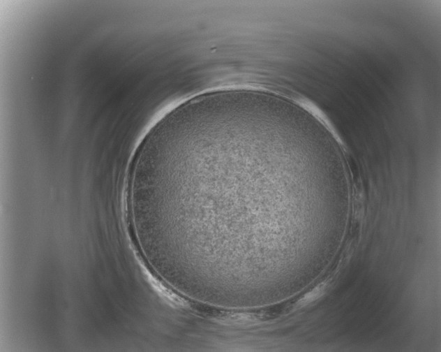 X0000080731101200612221246