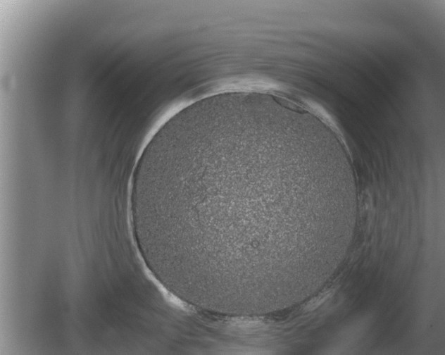 X0000080731103200612221246