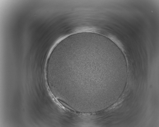 X0000080731104200612221246