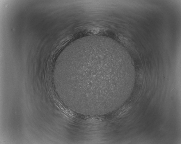 X0000080731105200612221245