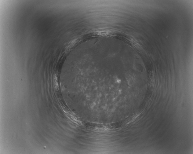 X0000080731106200612221245