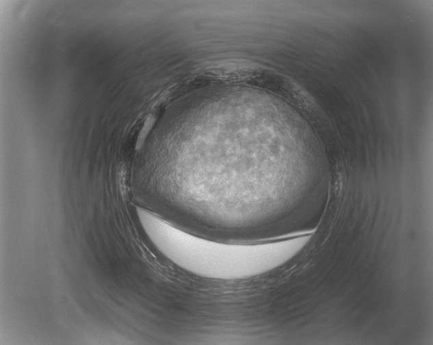 X0000080731108200612221245