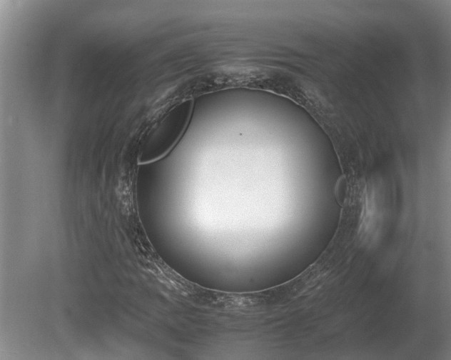 X0000080731109200612221246