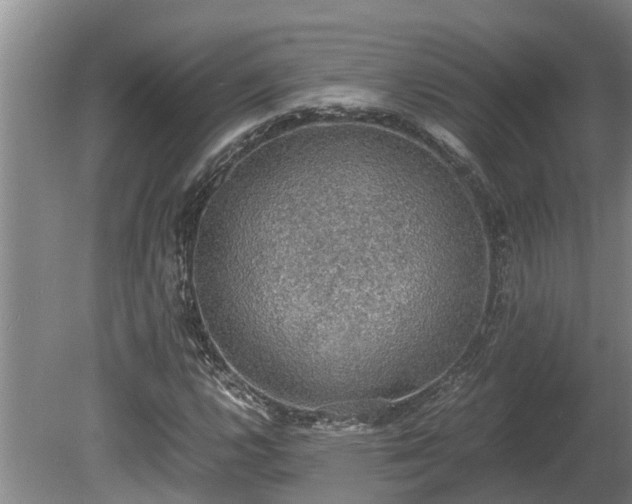 X0000080731112200612221246