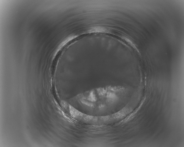 X0000080731117200612221246