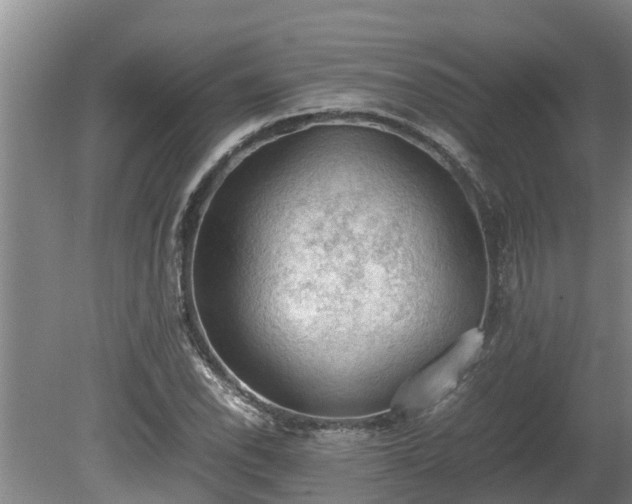 X0000080731118200612221246