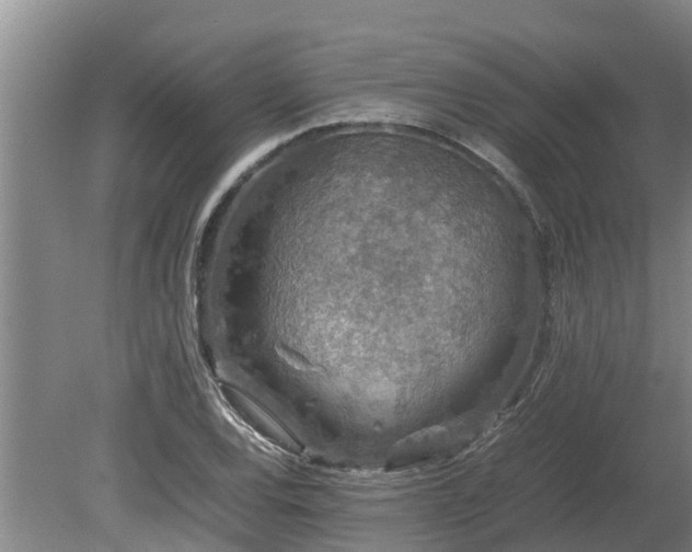 X0000080731120200612221246