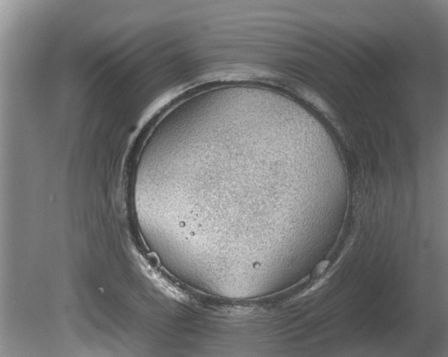 X0000080731122200612221246