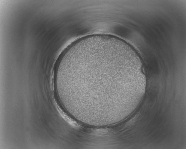 X0000080731126200612221246