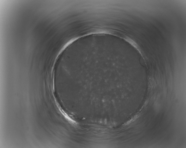 X0000080731127200612221246