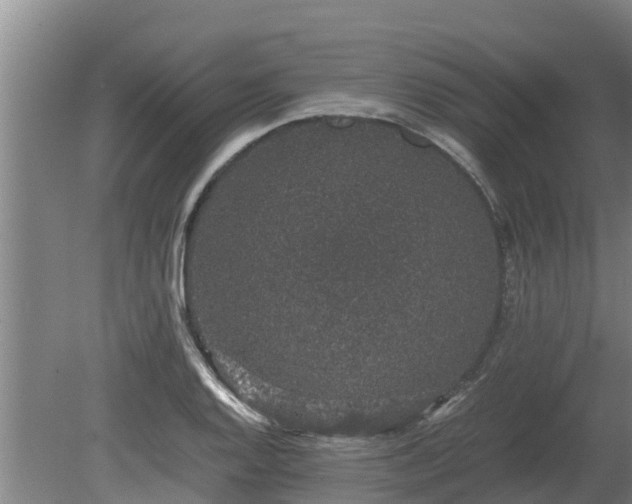 X0000080731128200612221246