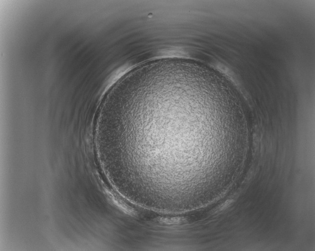 X0000080731129200612221246