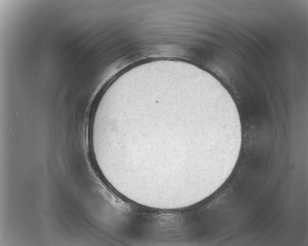 X0000080731130200612221246