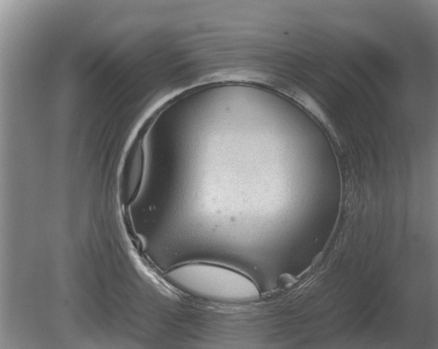 X0000080731132200612221246