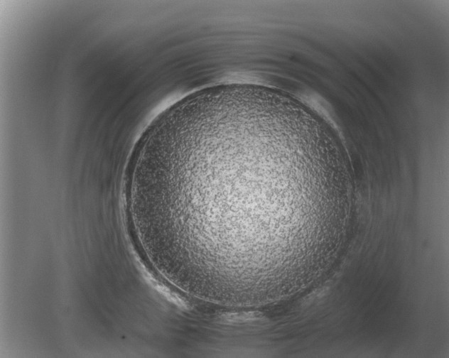 X0000080731133200612221246