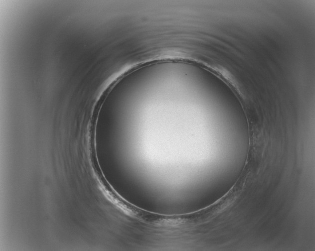 X0000080731134200612221246