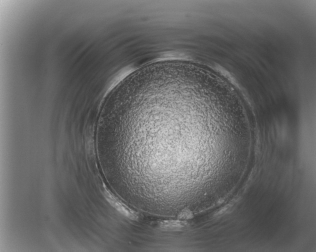 X0000080731137200612221246