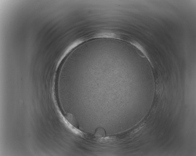 X0000080731139200612221246