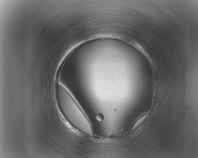 X0000080731140200612221246