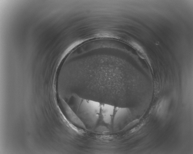 X0000080731141200612221246