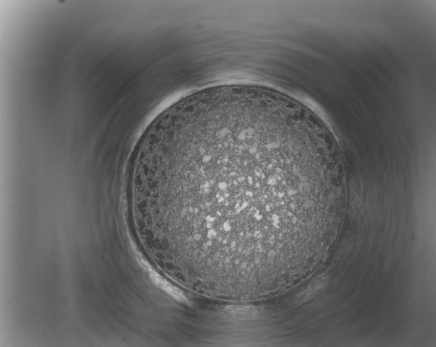 X0000080731142200612221246