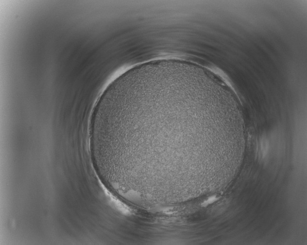 X0000080731143200612221246