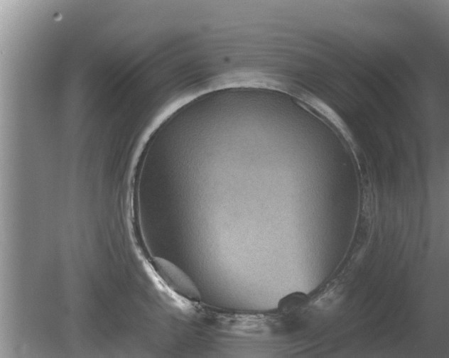 X0000080731144200612221246