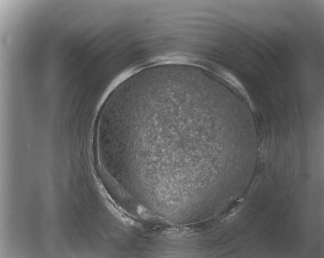 X0000080731146200612221246