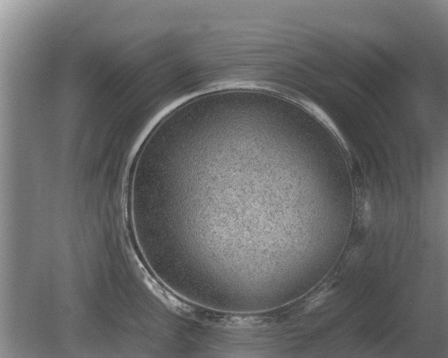 X0000080731148200612221246