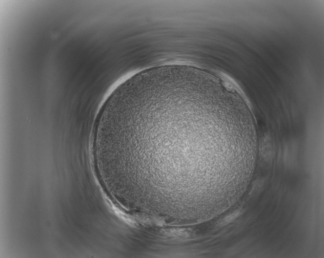 X0000080731149200612221246