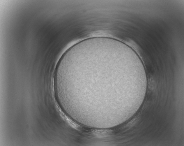 X0000080731150200612221246