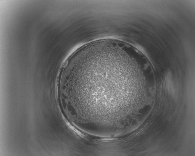 X0000080731151200612221246