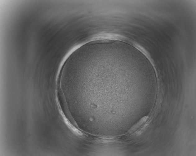 X0000080731152200612221246