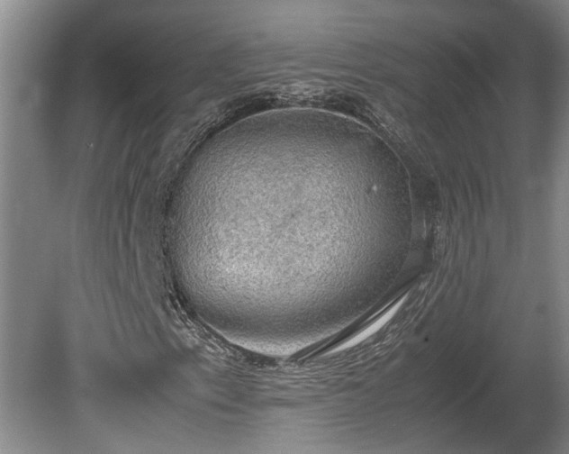 X0000080731153200612221245