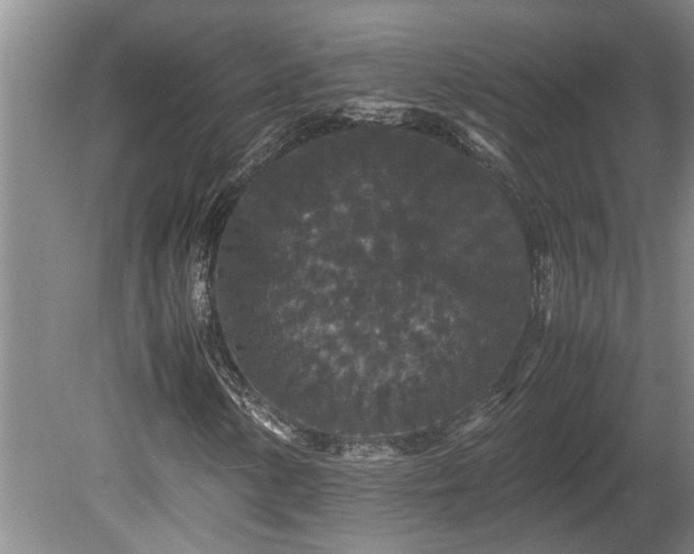 X0000080731154200612221245