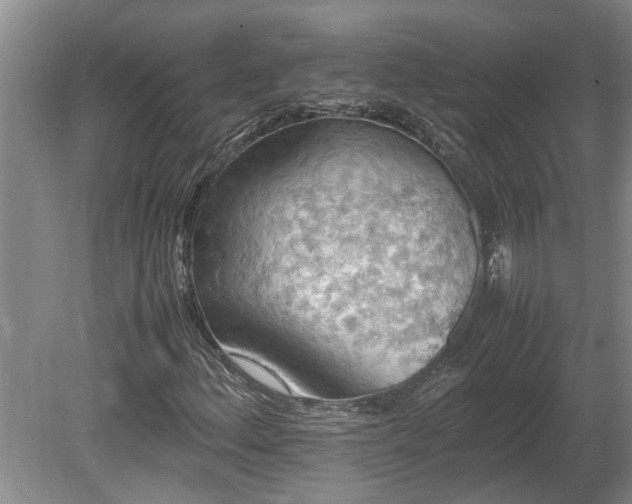 X0000080731156200612221245